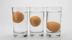 Nemoj jesti trule jaje: ovaj desetsekundni test će ti reći jesu li svježa.